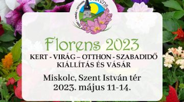 image-37