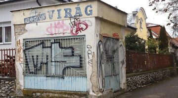 image-8 (1)