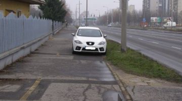 CP3010348