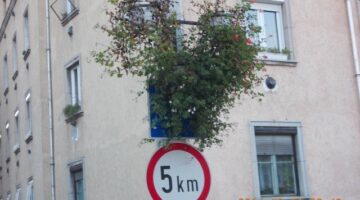 DSCN5459