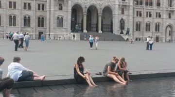 parlament borotva normal