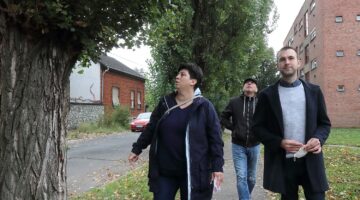 jegenyesor_bazin_201007ml-1