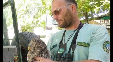 ked elhunyt serfozo jozsef aggtelek np b24 250729