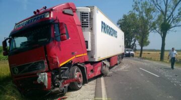 11751173 930846990308923 1291894169 n copy