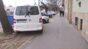 DSCN5567