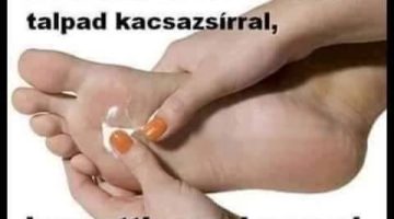 14089062 1092059847542008 4650463931868018989 n