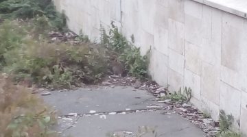 IMG 20170926 155924