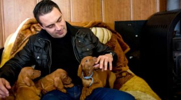 20140314vona gabor kutyaszoritoban konszolidalodik a