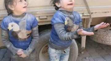 28378542 1654664197960688 4436973320126070784 n