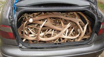 20361929 82844bf8a343f66e518e484408a8b5e1 wm