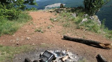 33748784 1954526267893527 6149997124642668544 n