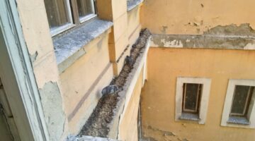 IMG 20180710 101113