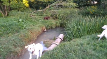 IMG 20180909 175851 1