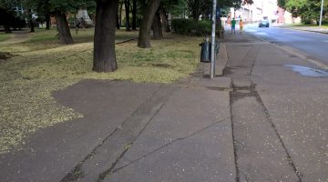 WP 20180717 08 05 59 Pro