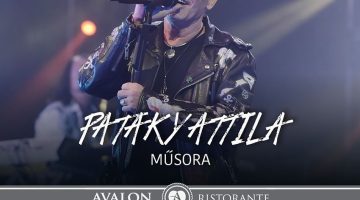 avalon resort spa aktualita pataky szovg