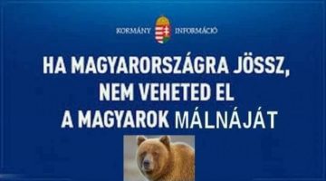 tn4 maciot