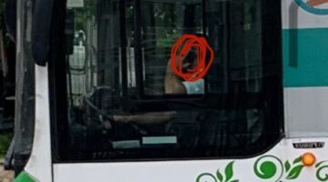 60242006 1084256198441442 4460494893206208512 n