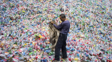 7IndQjl1PAu71AamIs