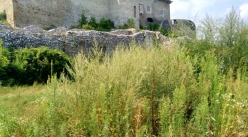 IMG 20190721 141534