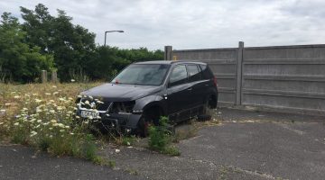 IMG 5d7c169ffeea33a762e5cc0a0288039d V