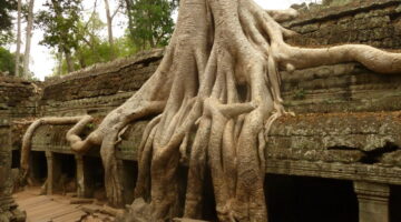 02 cambodia angkor wat 1 950
