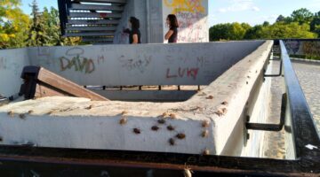 IMG 20190929 154024