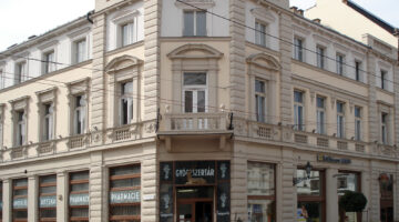 AranySzarvas01