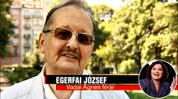 vadaiferje