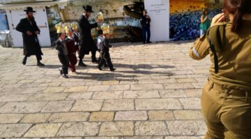 IMG 20191126 113941 1