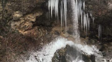 received 1609450332526219