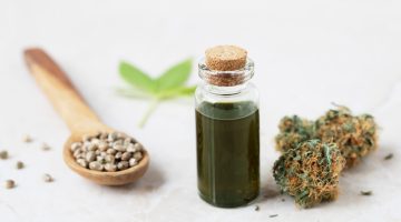 cbd eszakhirnok