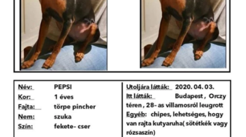 Jegyzet 2020 04 05 195141