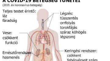 symptoms of coronavirus disease 2019 in hungarian