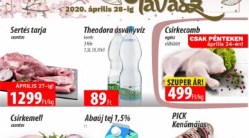 17eszak