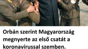 95666478 1855585951239929 9083069074635751424 o