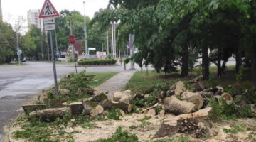 Jegyzet 2020 05 16 071425