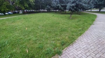 IMG 20200725 191529