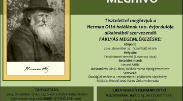 HO fáklyás felvonulás meghívó copy