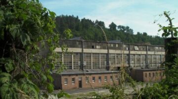 SANY1530-600x400