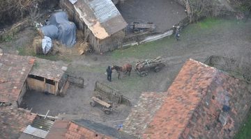 fatolvaj legi 141209