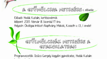 metszes-02-01