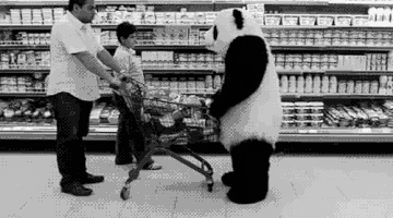 kepek_uj_panda3-animated_copy_copy
