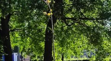 képernyőkép 2025 07 03 140414