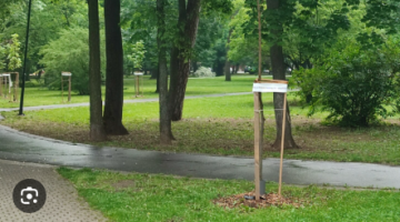 képernyőkép 2025 07 04 052258