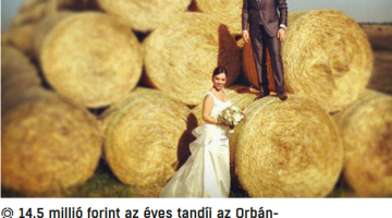 képernyőkép 2025 07 10 054313