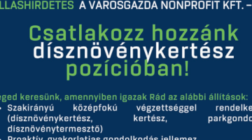képernyőkép 2025 07 10 175617