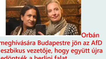képernyőkép 2025 07 15 055211