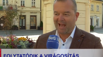 képernyőkép 2025 07 15 214615