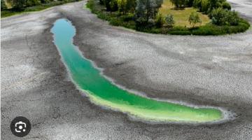 képernyőkép 2025 07 22 061408