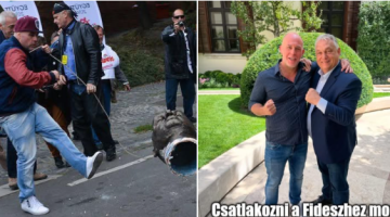 képernyőkép 2025 07 23 083527